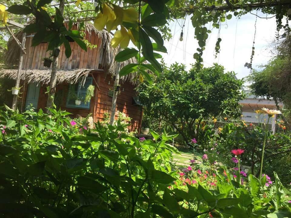 Bach Cuc Homestay Long Hai Eksteriør billede