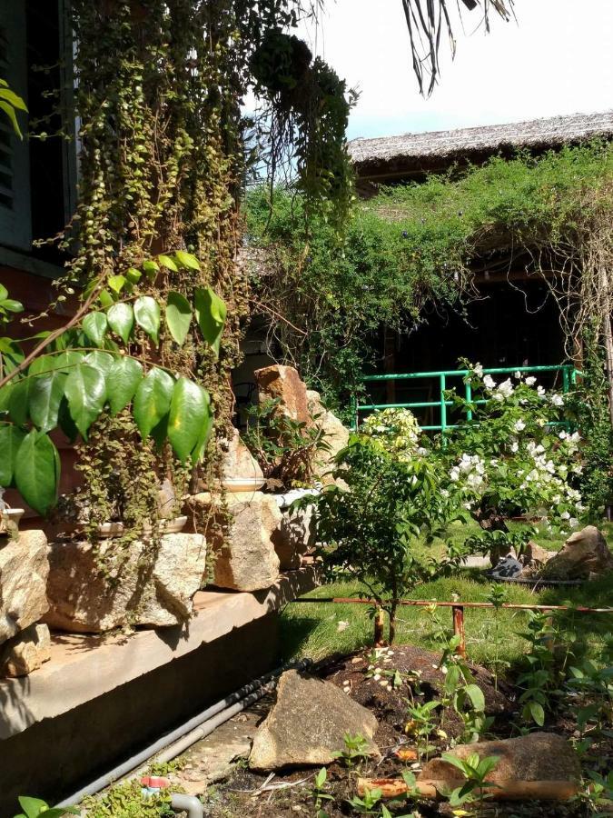 Bach Cuc Homestay Long Hai Eksteriør billede